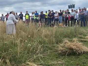 Gledalci so si z zanimanjem ogledali prikaz roč ne žetve žita. Foto: Klara Mrak