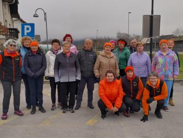 Skupina Sokolc je novembra praznovala eno leto delovanja. FOTO: JURE FERLAN