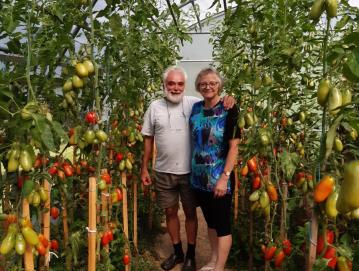 Franc in Milena Miklavčič v rastlinjaku, v katerem pridelata več sto kilogramov paradižnika in kumar