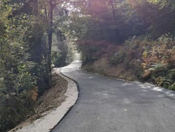 Nova plast asfaltne podlage na 800-metrskem odseku ceste Brcar–Mrovc Foto: Miha Mrak