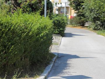 Z namenom zagotovitve čim večje varnosti udeležencev v prometu na medobčinskem inšpektoratu občane opozarjajo na ureditev obcestne vegetacije. FOTO: TINA DOKL