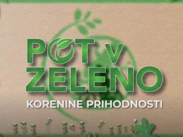 Prispevek Pot v zeleno - Korenine prihodnosti 