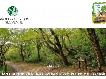 Zavod za gozdove Slovenije