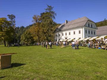 Albert DobraveC:_lOVSKA GOLAŽIJADA Dvorec Visoko