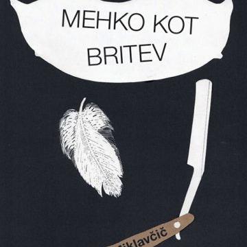 Slika za novico POGOVORNI VEČER Z MILENO MIKLAVČIČ