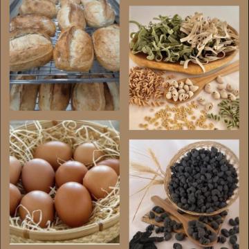 Slika za novico OBIŠČITE REKO TRŽNICO DOL PRI LJUBLJANI