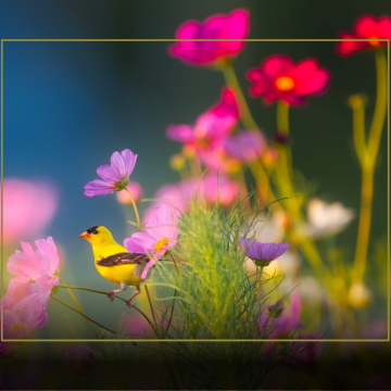 Slika za novico ČESTITKA OB DNEVU ŽENA IN MATERINSKEM DNEVU