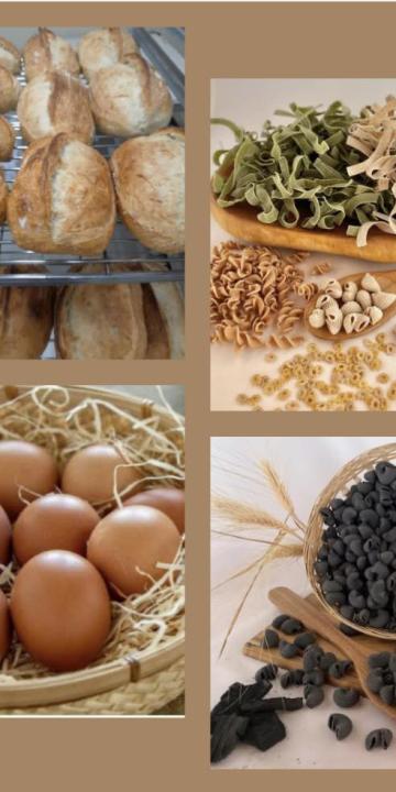 Slika za novico OBIŠČITE REKO TRŽNICO DOL PRI LJUBLJANI