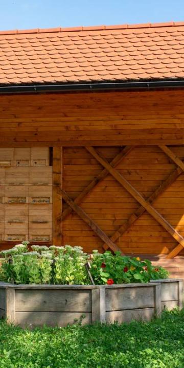 Čebelnjak na Levčevi domačiji, foto: Ivan Marjanović