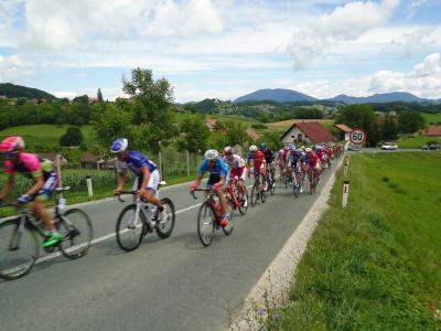 Kolesarji so na nedeljski etapi od Rogaške Slatine do Novega mesta prevozili tudi Halerjev hrib. 