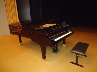 Kulturni center se med drugim ponaša z novim klavirjem, vrednim sto tisoč evrov. 