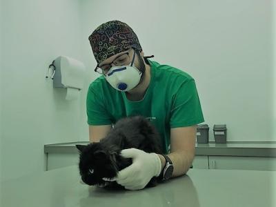 Veterinarji znova opravljajo vse redne veterinarske aktivnosti. (Foto: Veterinarska postaja Šmarje pri Jelšah)