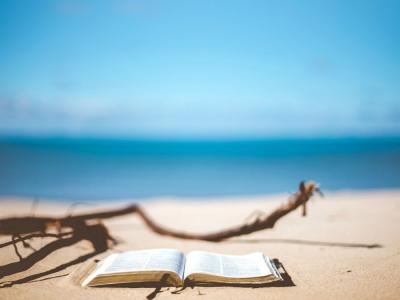 Na plaži si marsikdo vzame kakšno uro več za branje kot doma. Katere knjige letos vzeti na dopust? (Foto: Pixabay)