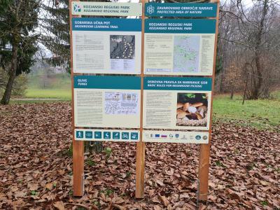 Učna pot o glivah v Brezovcu pri Polju predstavlja inovativno turistično ponudbo Obsotelja in Kozjanskega. (Foto: Kozjanski park)
