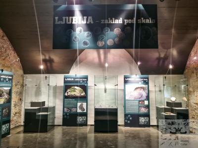 Na arheološki razstavi so razstavljeni vsi predmeti, ki so jih našli v jami v Ljubiji. (Foto: Pokrajinski muzej Celje)