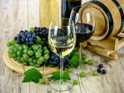 11. novembra bo sveti Martin mošt spremenil v vino. (Foto: Pixabay)