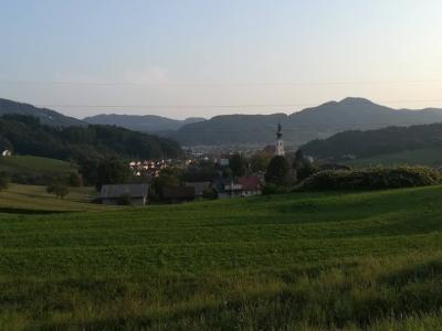 Šentjur je eno od 17 mest, članov Združenja zgodovinskih mest Slovenije. (Foto: Štajerski val)