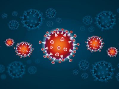 Še en dan boja proti koronavirusni bolezni COVID-19 (Foto: Pixabay)