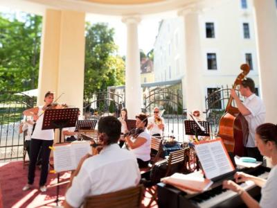 Salonski orkester Musica Camerata sestavljajo priznani umetniki, akademsko izobraženi glasbeniki, ki igrajo v različnih orkestrih, pa tudi profesorji glasbe. Tudi letos bodo zaigrali dvakrat na dan. (Foto: arhiv rogaska.si)