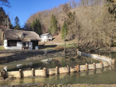 V ribniku Trebče so za dvoživke uredili cono brez rib. (Foto: Kozjanski park)