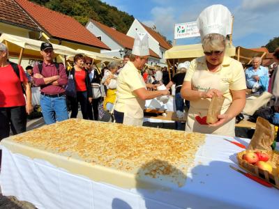 Tradicionalno poteka tudi tekmovanje v pripravi jabolčnega zavitka. (Foto: Štajerski val)