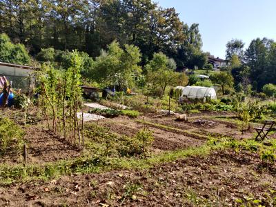 Vrtovi ponujajo tako priložnost za domačo, zdravo pridelavo hrane, kot tudi za sprostitev. (Foto: Štajerski val)