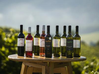 Vinska klet se ponaša z bogato ponudbo belih in rdečih vin. (Foto: Facebook Vino Kralj)