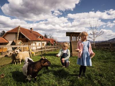 Slovenske turistične kmetije obiskujejo predvsem tuji gostje (Foto: Kmetija Urška)
