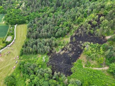 Požar je obsegal površino 19.000 kvadratnih metrov, zanj je kriva  mlada trojica. (Foto: Poklicna gasilska enota Celje)