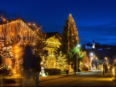 Takole so ulice Božičnega Vojnika sijale lansko leto. Kako bo letos? Vabljeni, da si ogledate sami. 
