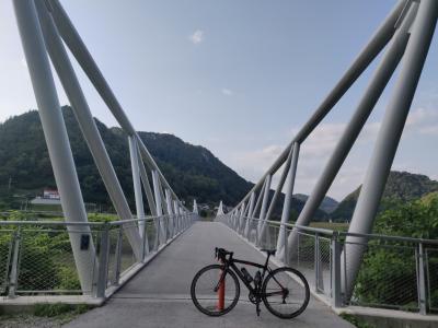 Most za kolesarje in pešce v Tremerjah je del kolesarske povezave Celje-Laško, ki je že urejen. 