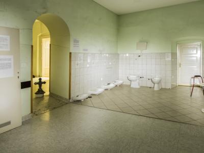  Muzej je za obiskovalce odprt od 6. aprila do novembra 2026. (Foto: Muzej norosti)