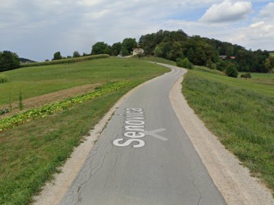 Po trenutnih načrtih direkcije bi kolesarska pot od Halarjevega hriba do Jelšingrada vodila po tej cesti, ki je sicer precej strma in trenutno v slabem stanju. (Foto: Google maps)