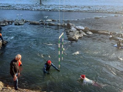 Skoka v Savinjo na Špici v Celju se vsako leto udeleži med 70 in 80 pogumnih plavalcev. Takole je bilo lani. (Foto: Štajerski val)