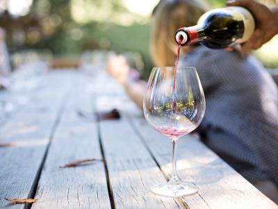 Danes se mošt preobraža v vino (Foto: Pixabay)