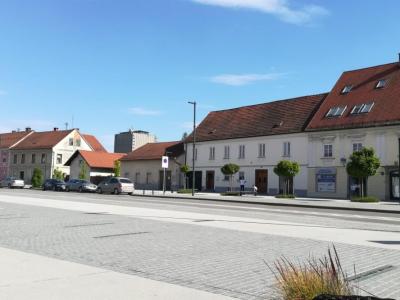 Praznik Občine Žalec je 6. septembra v spomin na II. slovenski tabor, ki je leta 1868 v Žalcu izpostavil vrednote narodne enotnosti, poguma in pripadnosti. (Foto: Štajerski val)