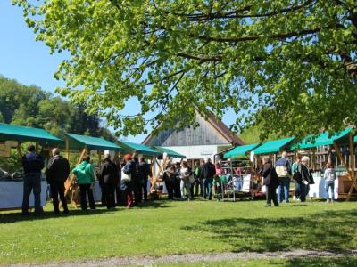Zeleni festival bodo spremljala predavanja, delavnice in predstavitve ponudnikov na stojnicah. (Foto: Muzej na prostem)