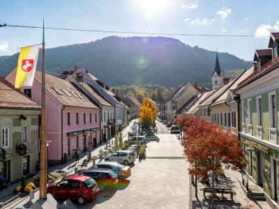 30. junij je praznik občine Slovenske Konjice. (Foto: Občina Slovenske Konjice)