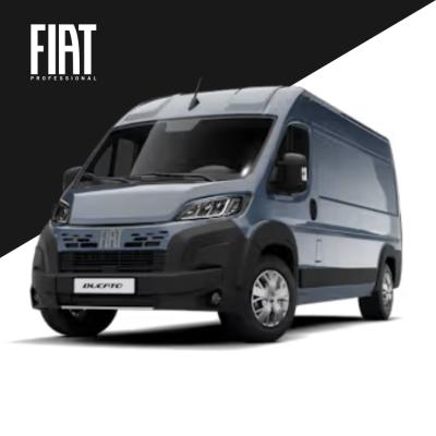 FIAT PROFESSIONAL