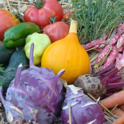 Traditional markets of agricultural crops and products in the Loka area