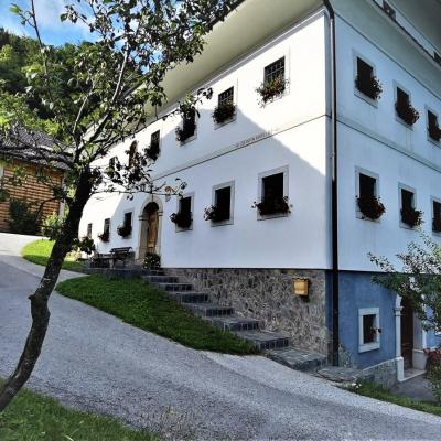 Accomodation and Food