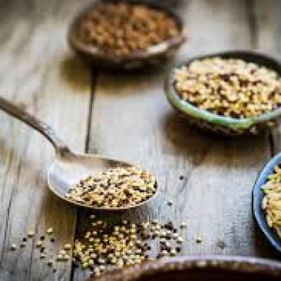  Iščemo recepte iz žit!