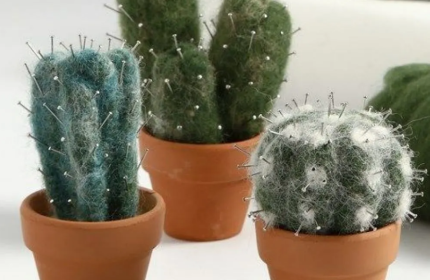 Kaktusi v tehniki suhega polstenja