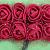 Rožice iz moosgumme, 25 mm, bordo rdeče, 12 kosov