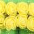 Rožice iz moosgumme, 25 mm, rumene, 12 kosov