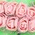 Rožice iz moosgumme, 25 mm, svetlo rožnate, 12 kosov