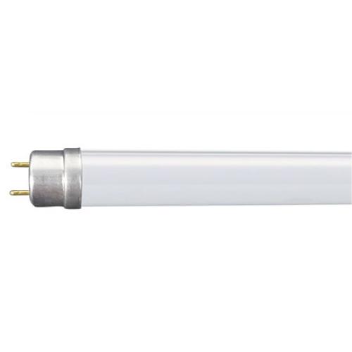 G13 led bulb top