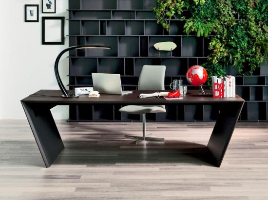 Domača pisarna VEGA