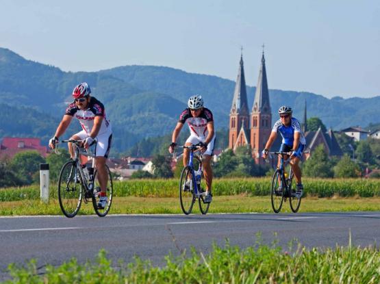 C3: Izpod gora med dolenjsko gričevje