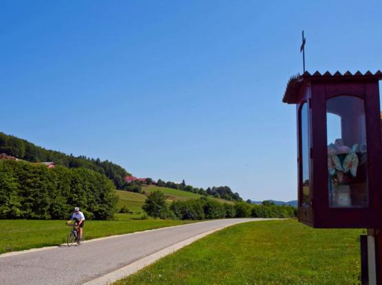 C7: Prijetno domače s kolesa